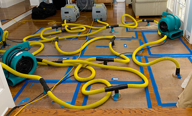 Professional Basement Flood Cleanup technician working in Carlisle, MA